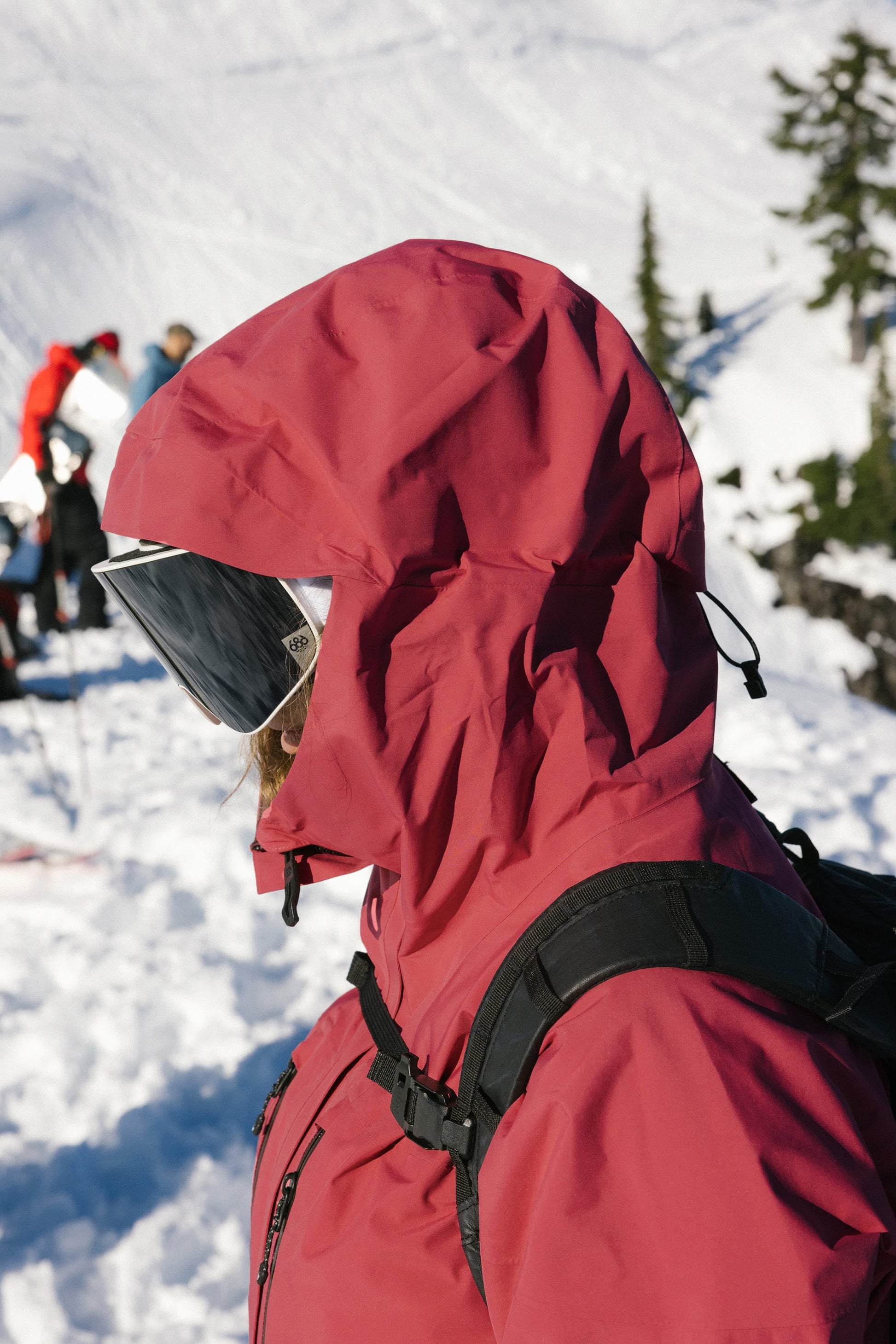 686 Women's GORE-TEX Skyline Thermagraph® Jacket | Affordable