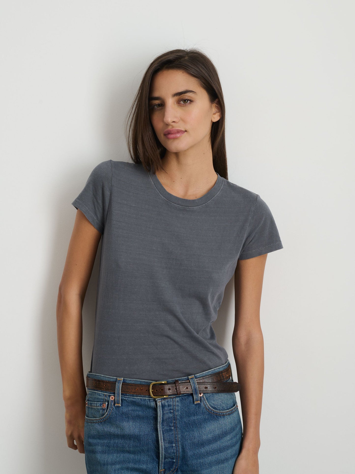 Alex Mill Prospect Tee in Cotton Jersey Charcoal