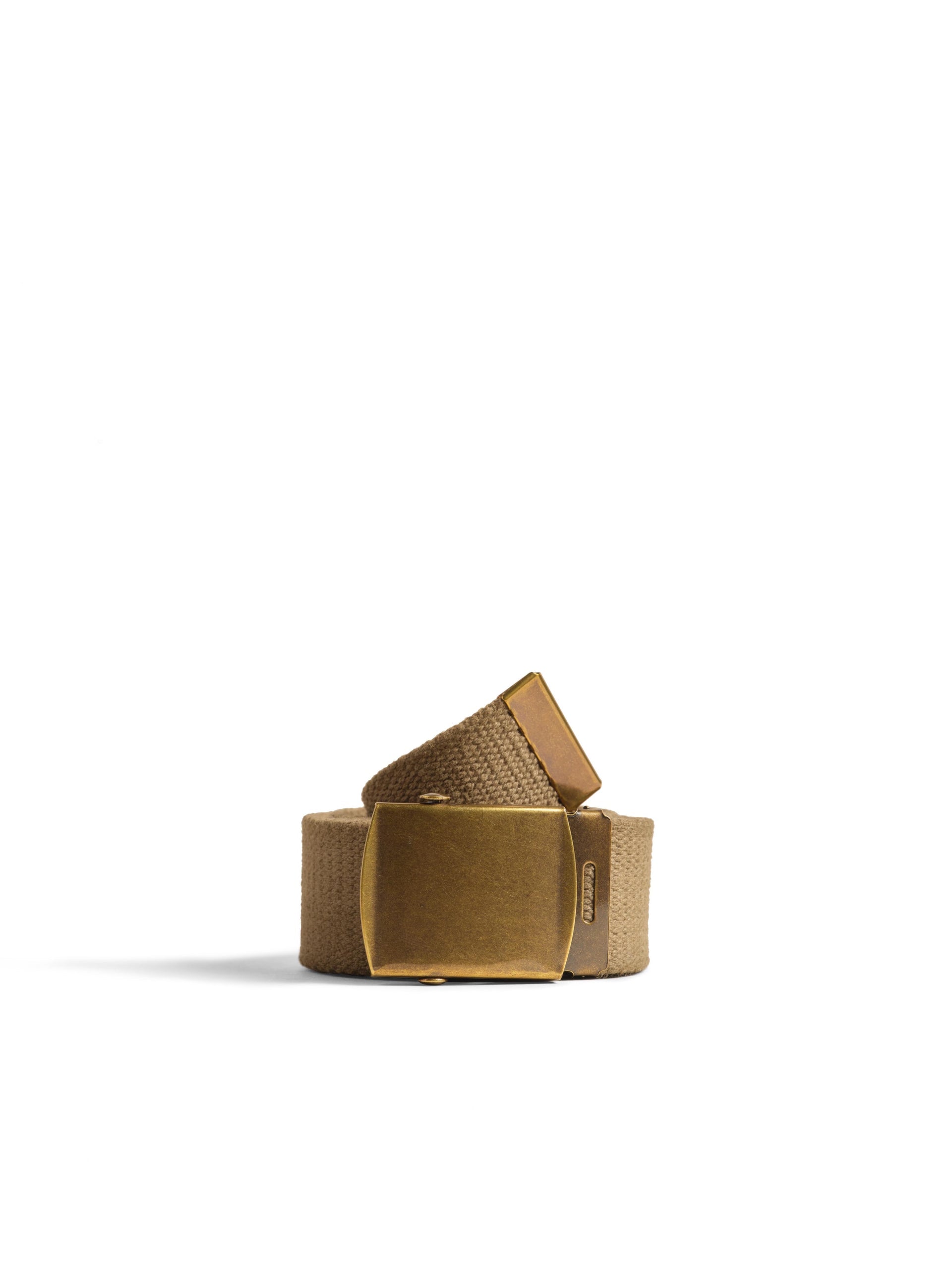 Alex Mill Solid Web Belt Olive