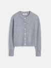 Icy Grey
