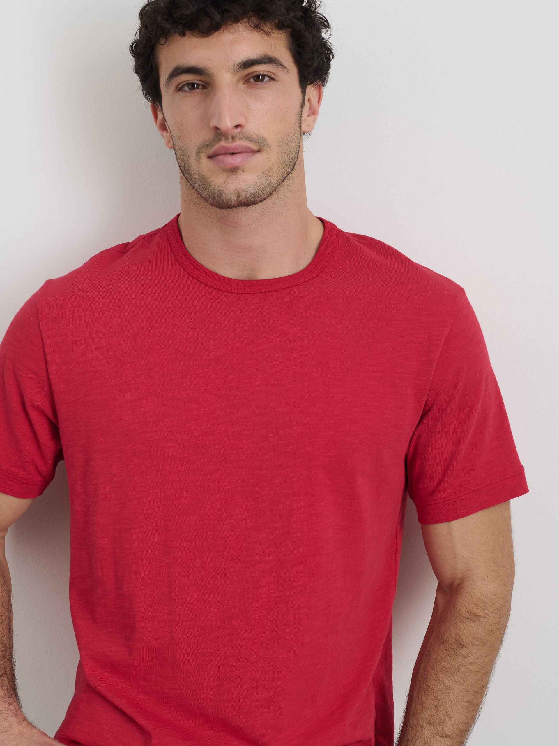 Alex Mill The Standard T-Shirt In Slub Cotton Red Pepper