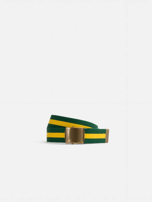 Alex Mill Striped Web Belt Green/Yellow